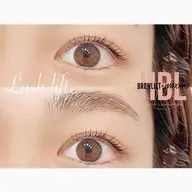 【時短セット⏰】 ラッシュリフト上+ハリウッドブロウ/アイシャンプーTR付