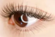 国産「驚異の持続力］魅力する濃さと持続性バインドロック✨60束 ❣️