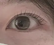 【無料 1名様のみ】5/7 11:00~のみ🎀まつげパーマ➕束感コーティング付🎀⚠️注意事項をご確認ください⚠️