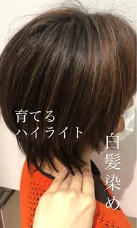 【白髪ぼかしハイライト】カット＋ハイライト＋イノアカラー＋3stepトリートメント【脱白髪染め】　¥15229