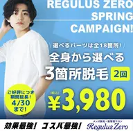 全身から選べる3箇所 × 2回 3,980円（税込）