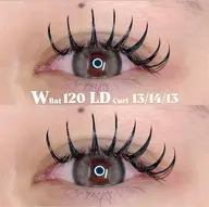 ダブルフラット120束