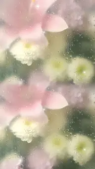 【オープン記念割引】上品フレンチ｜美フォルム