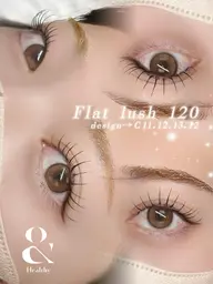 フラットラッシュ 120本