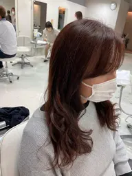 平日、ご新規様限定✨カット＋艶感カラー✨