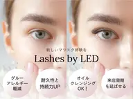 練習モデル💗LEDエクステ×フラットラッシュ100本✨