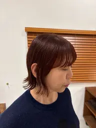 ワンカラー | ミディアム