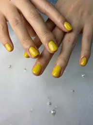 【オフなし】ワンカラー