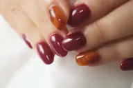 アート2本コース