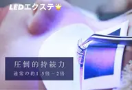 LED🌟マツエク100本/束感コーティング付き