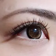 フラットラッシュ 100本