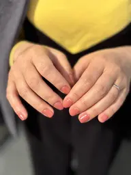 【ワンカラー／オフなし】2色目プレゼント