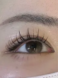 フラットラッシュ Jカール or Cカール (マツエクオフなし) 80本練習モデル(前後する場合がございます)