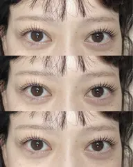 パリエク80〜100本(ロット選べます!)