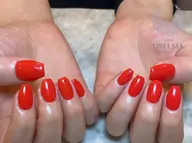 【当日限定】🌟オフなしワンカラー🌟