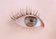 まつ毛カール☆上下