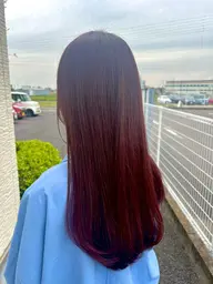 【本日限定🔥】カラー