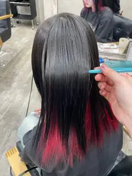 エコルテストレート