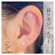 【可愛く体の不調をサポート】耳ツボセラピーコース