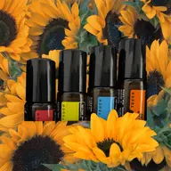 アロマの香りとEMSでヘッドマッサージ✨