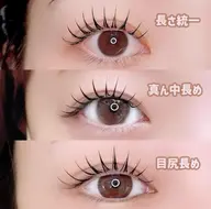 バインドロック120本