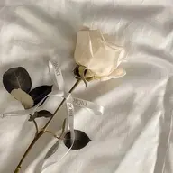 【来店日次回予約クーポン】フェイシャルエステメニュー✨️