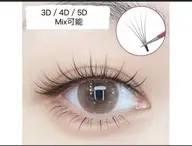 【オフ無料】人気3D/4D/5Dボリュームラッシュ300本¥5980