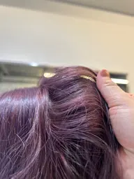 メンズダブルカラー🐕👦🏻