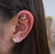 両耳12粒💎耳ツボジュエリー👂✨