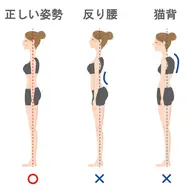 ✨【姿勢 or 骨盤矯正 】1ヶ月受け放題✨