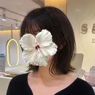 ボブカット