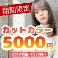 🎨【人気No.1/¥5,000】カット+カラー|透明感OK