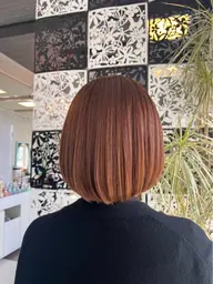 ボブカットモデル