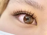 フラットラッシュ120本