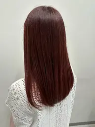 ワンカラー🐶❣️