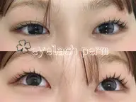 マツパ  上のみ