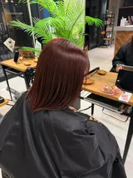 ✨️人気✨️色持ちがいいレッド系ワンカラー♥️