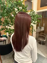 ワンカラー（トリートメント付き）