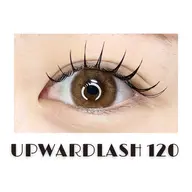 【オフ込み】アップワードラッシュ120本