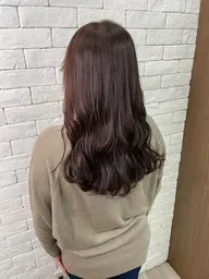 【20時から限定】レディースカット