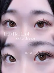 LED🌕 ⟡.·負担軽減🫧フラットラッシュ120本🤍オフ有+550円