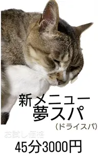 夢スパ（ドライスパ）