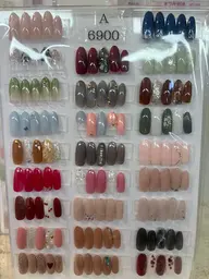 オフなし Aコース