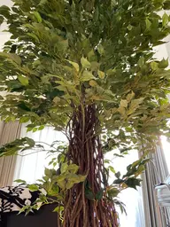 【新規】最高級セーブルカラー付け放題