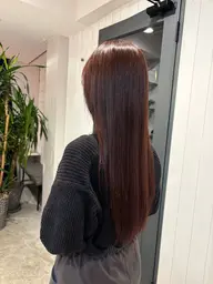 【地毛から明るくしたい方限定‼︎】💇🏻‍♀️トーンアップモデル様 🌟募集しています‼︎❄️