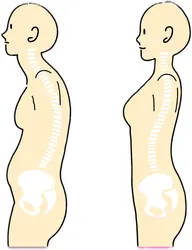 美骨整体の身体だけコース