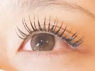 フラットラッシュ付け放題