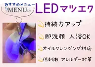 LEDマツエク+まつ毛パーマ💫100本