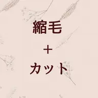 【王道】髪質改善縮毛矯正+カット