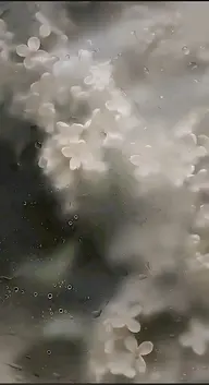 長さだし1​〜​4本(1本¥600​〜​)